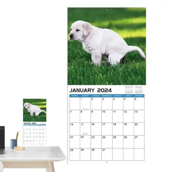 Календарь какающих собак Собаки, какающие в красивых местах Настенный календарь с января 2024 г. по декабрь 2024 г. Забавный календарь собак Подарки